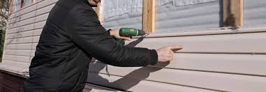 Best Siding Painting and Refinishing  in St Louis, MO